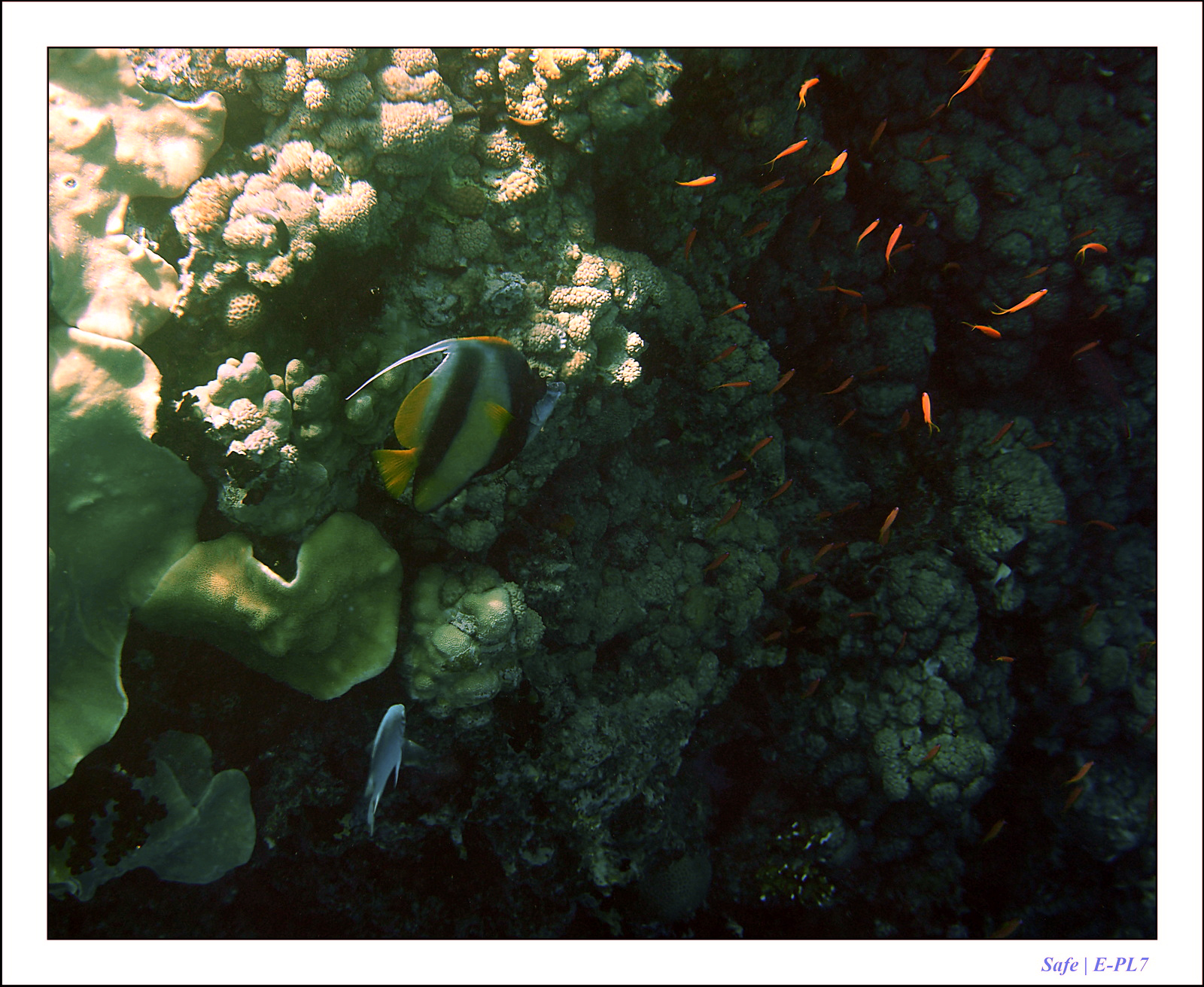 Hurghada - Juillet 2021 - 030